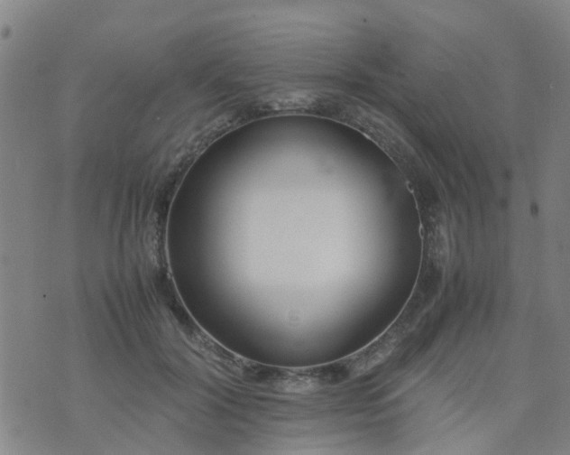 X0000074330604200609082034