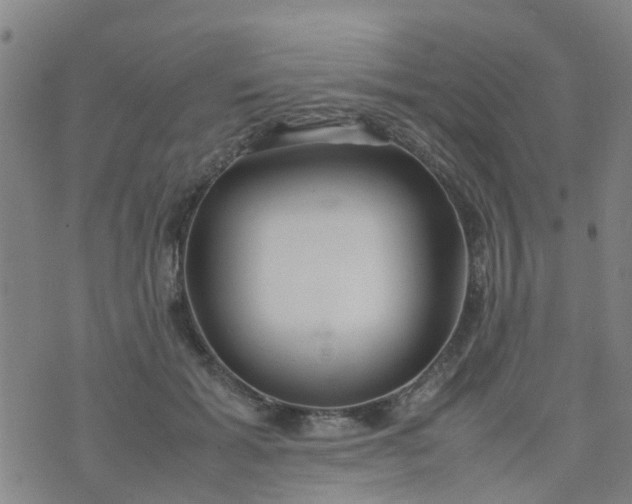 X0000074330605200609082034