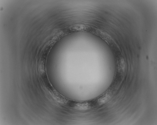 X0000074330606200609082034