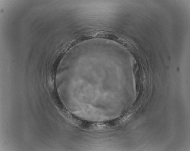 X0000074330607200609082034