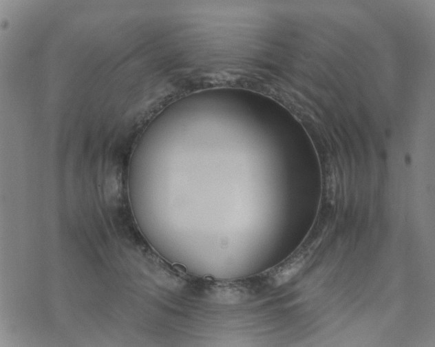 X0000074330608200609082034