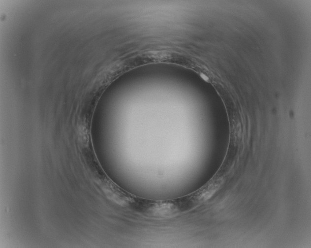 X0000074330609200609082034