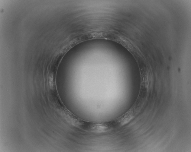 X0000074330610200609082034