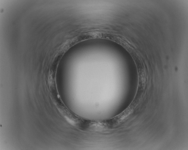 X0000074330611200609082034