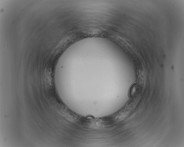 X0000074330612200609082034