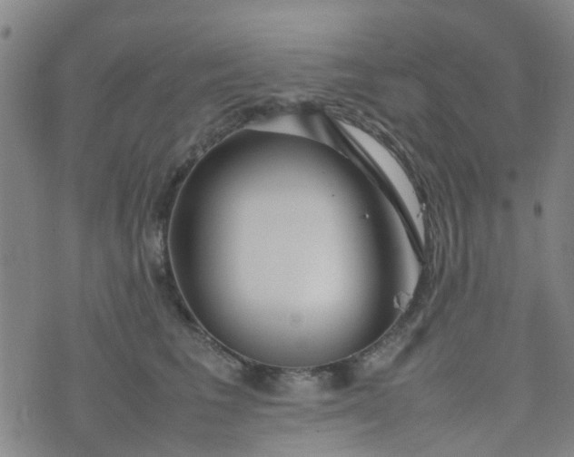 X0000074330613200609082034