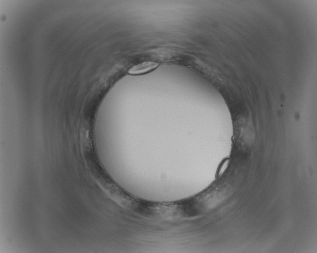 X0000074330615200609082034