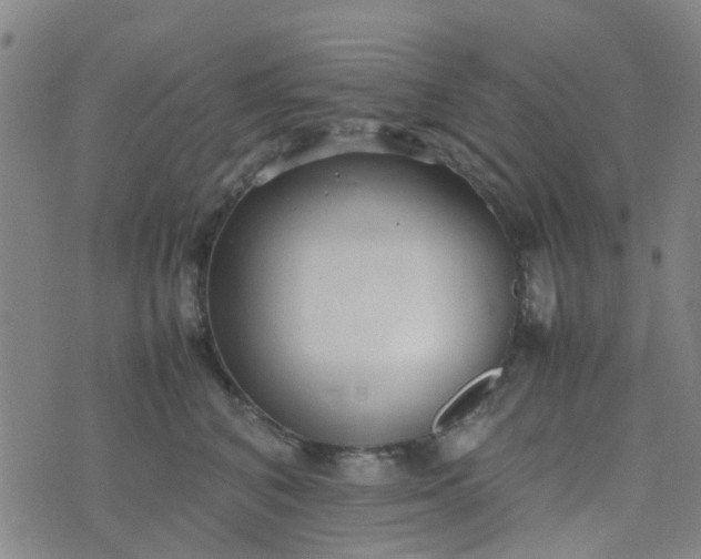 X0000074330616200609082034