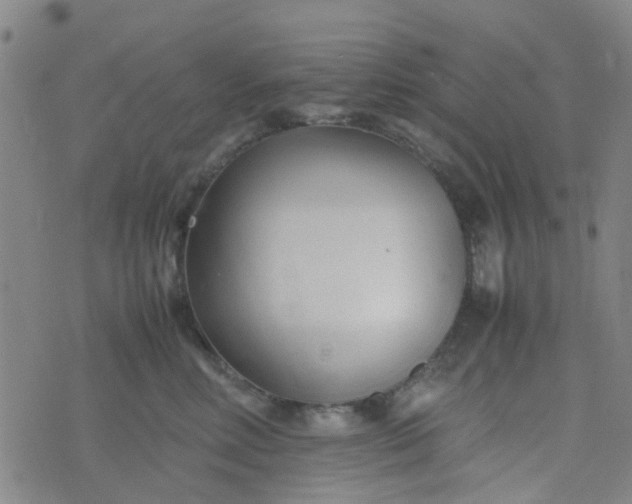 X0000074330618200609082034