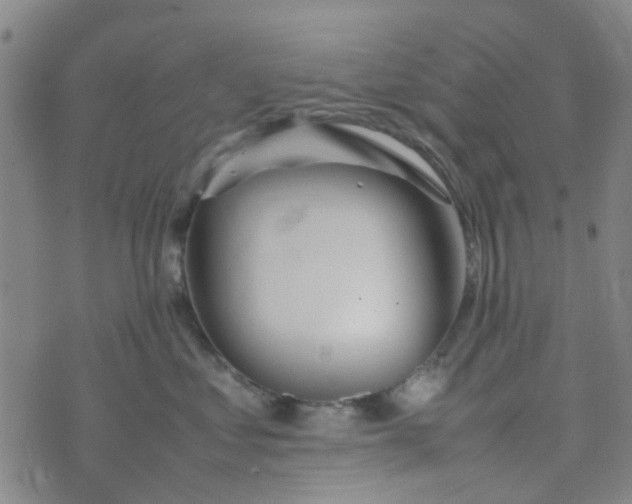 X0000074330621200609082034