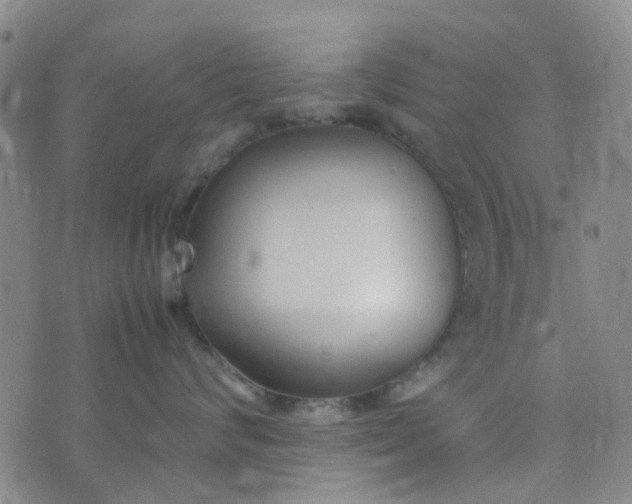 X0000074330624200609082034