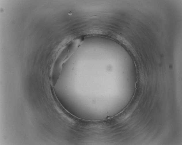 X0000074330625200609082033