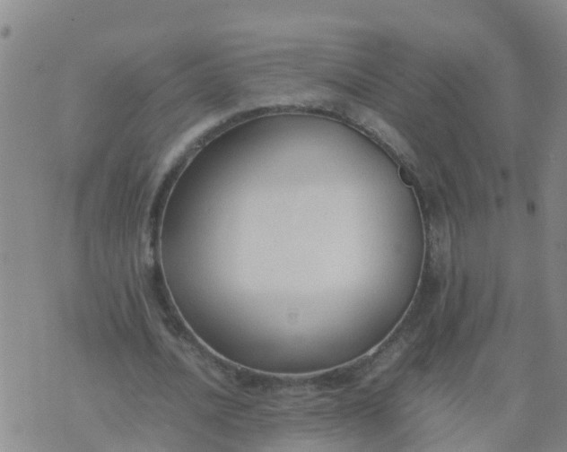 X0000074330628200609082033