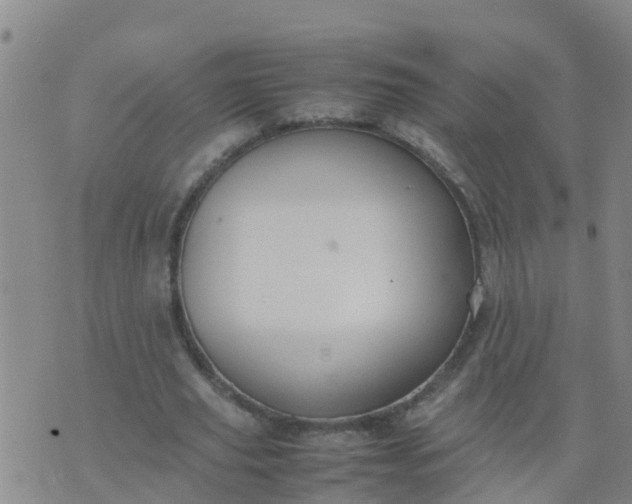 X0000074330629200609082033