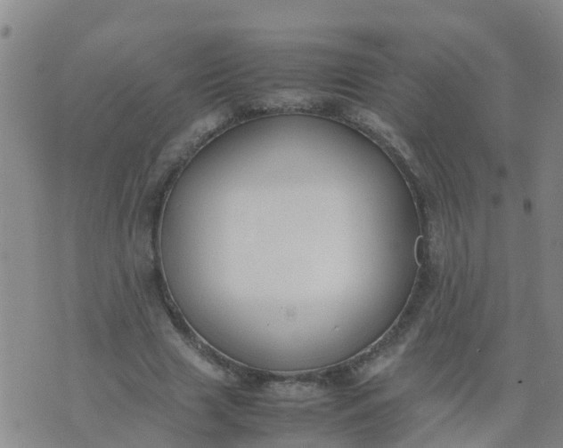 X0000074330633200609082033