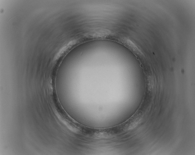 X0000074330634200609082033