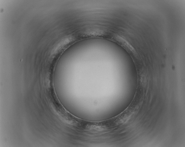 X0000074330635200609082033