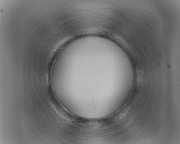 X0000074330636200609082033