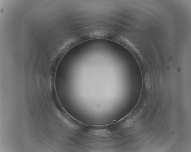 X0000074330637200609082033