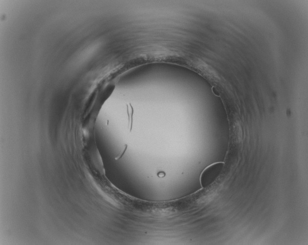 X0000074330638200609082033