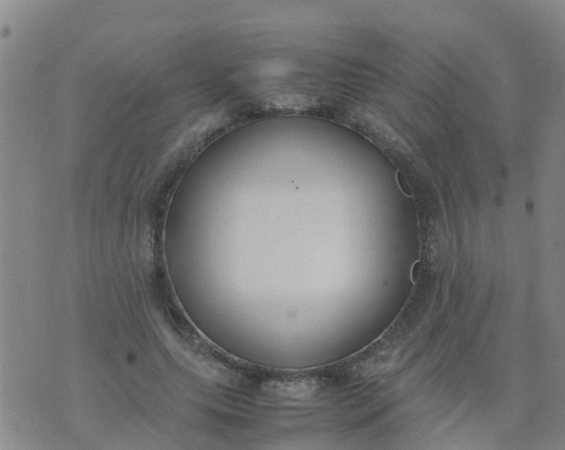 X0000074330639200609082033