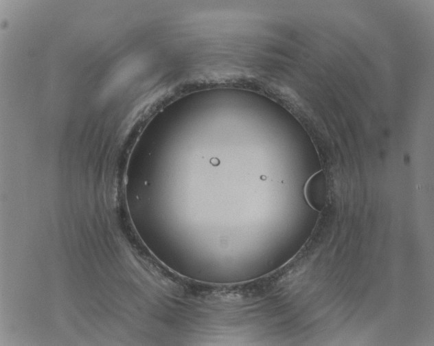 X0000074330640200609082033