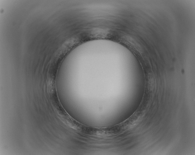 X0000074330641200609082033