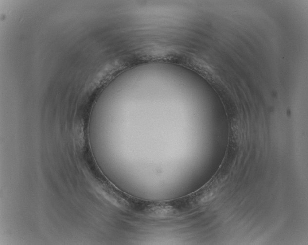 X0000074330642200609082033