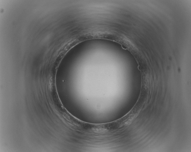 X0000074330644200609082033