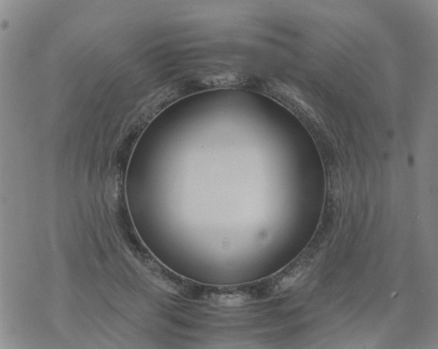 X0000074330645200609082033