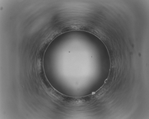 X0000074330646200609082033