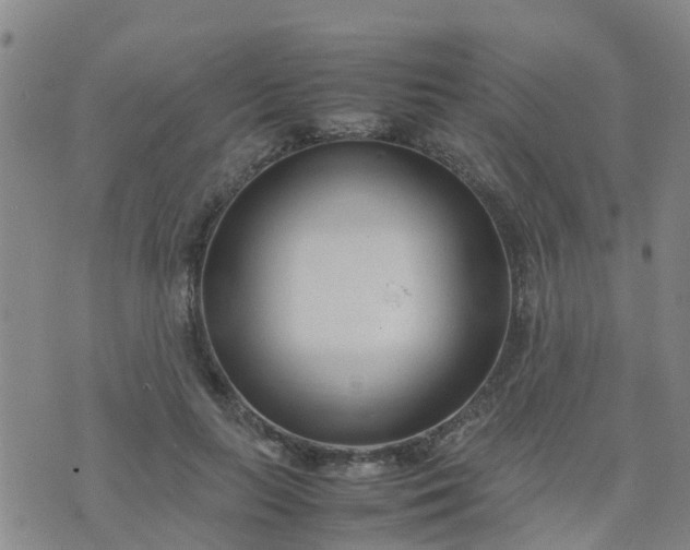 X0000074330647200609082033