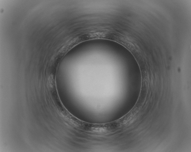 X0000074330649200609082033