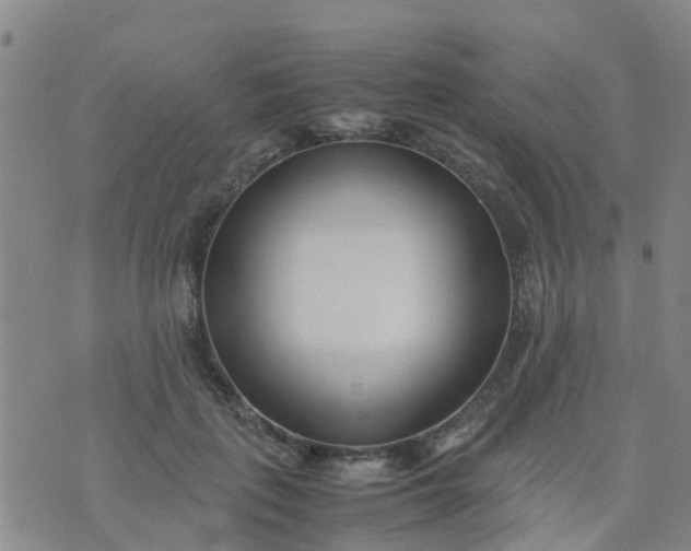 X0000074330651200609082033