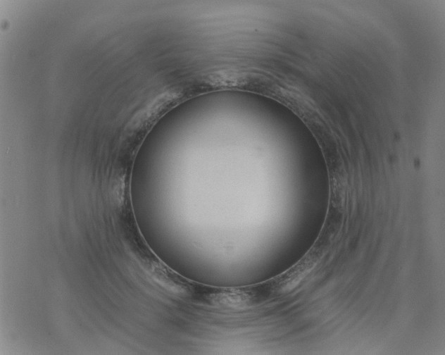 X0000074330652200609082033