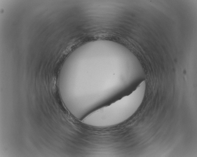 X0000074330660200609082033