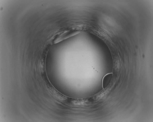 X0000074330661200609082033