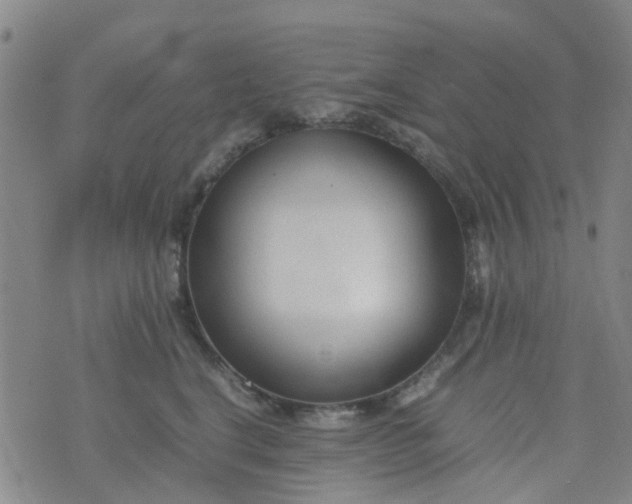 X0000074330664200609082033