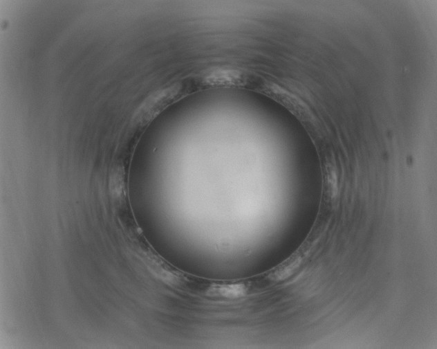 X0000074330665200609082033