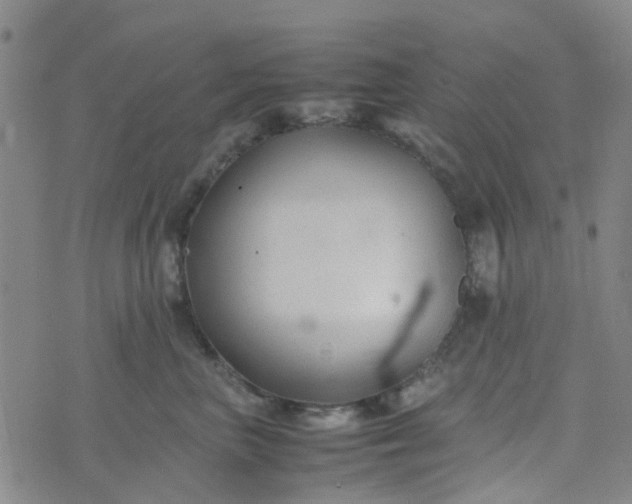 X0000074330667200609082033