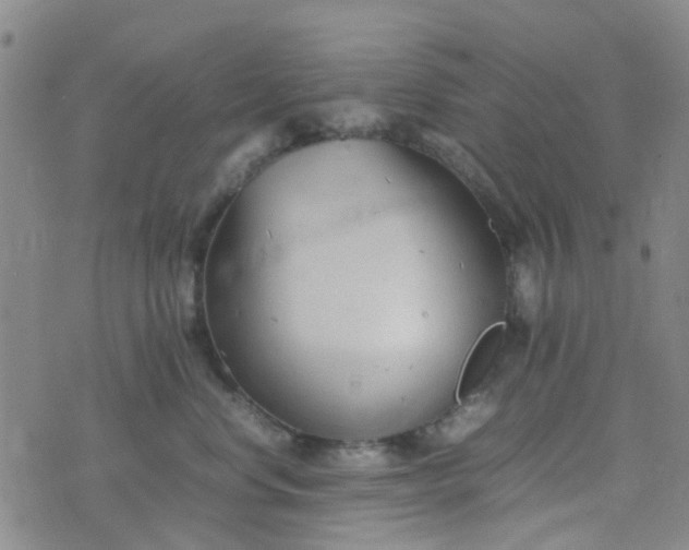 X0000074330668200609082033