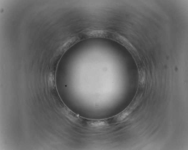 X0000074330669200609082033