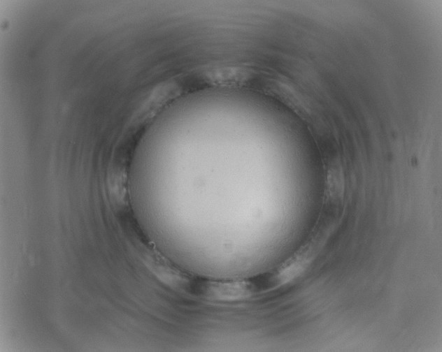 X0000074330671200609082034