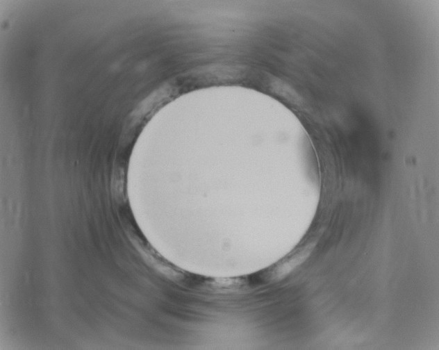 X0000074330672200609082034