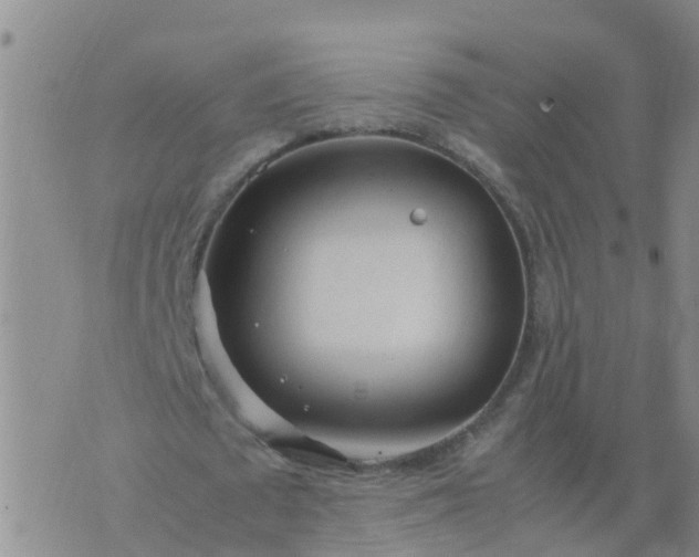 X0000074330673200609082033