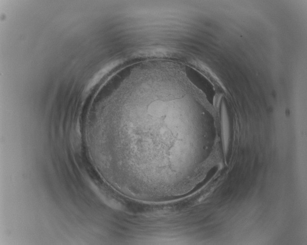 X0000074330674200609082033