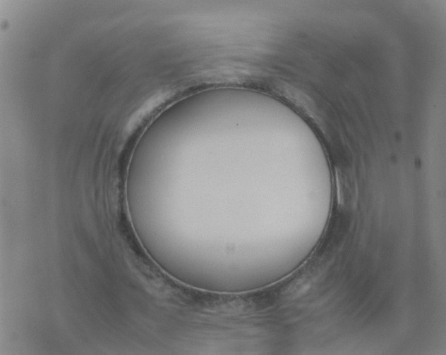 X0000074330675200609082033