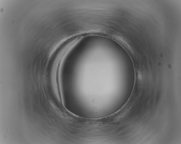 X0000074330676200609082033