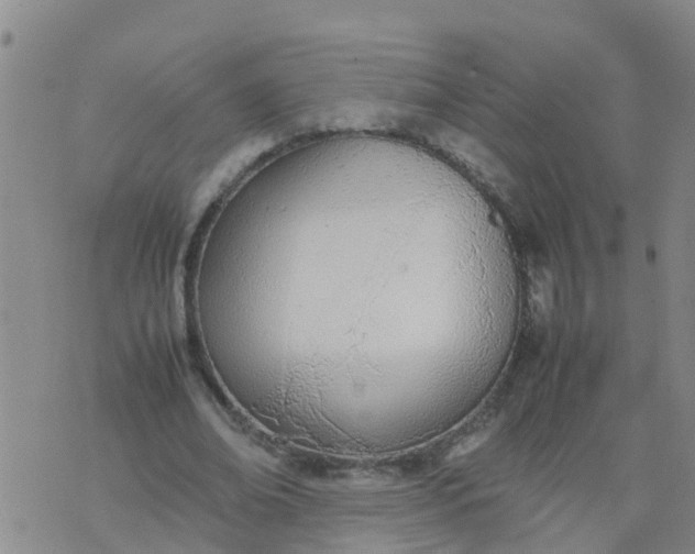 X0000074330678200609082033