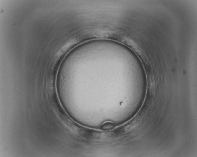 X0000074330679200609082033